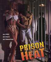 Смотреть Онлайн Тюремная жара / Prison Heat [1993]